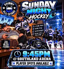 shinny / hockey