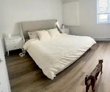 Lit King size Velvet Gris