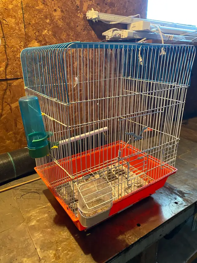 free Bird Cages