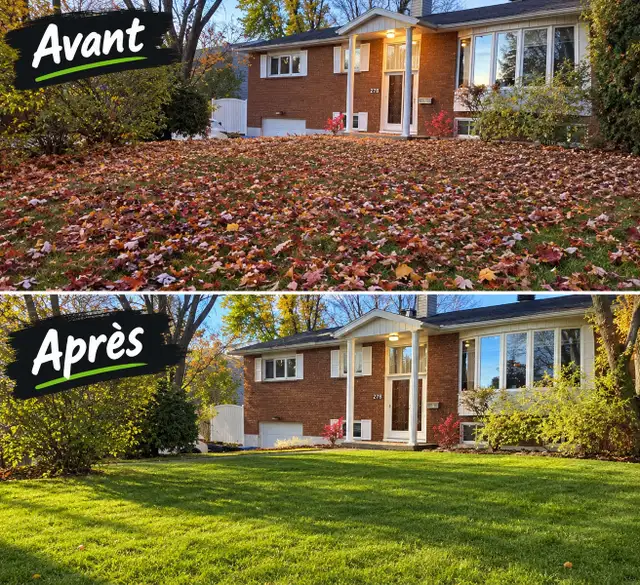 Ramassage des feuilles