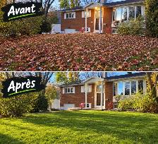 Ramassage des feuilles