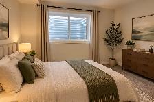 Spacious & Modern 2-Bedroom Basement Suite - Photo 3
