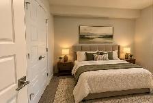 Spacious & Modern 2-Bedroom Basement Suite - Photo 4