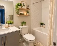 Spacious & Modern 2-Bedroom Basement Suite - Photo 9