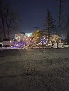 Christmas Light Installation Niagara | From $3/FT | Permanent & - Photo 6
