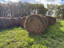 2026 alfalfa grass mix hay - Photo 3