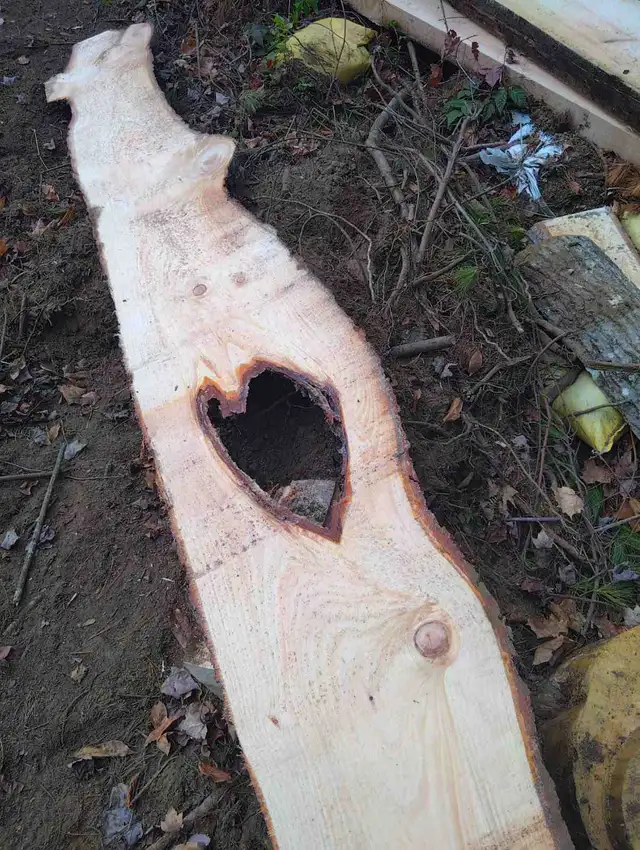 Natural Heart Shape in Live Edge!