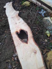 Natural Heart Shape in Live Edge!