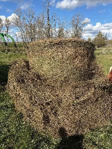 2026 of Alfalfa grass mix bales. - Photo 2