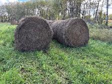 2026 of Alfalfa grass mix bales. - Photo 3