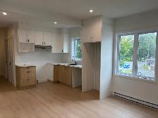 Superbe 3 1/2, Charlesbourg, Libre