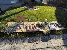 Halloween Decor - FREE
