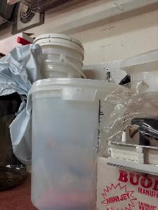 WINE MAKING SUPPLIES - Photo 4