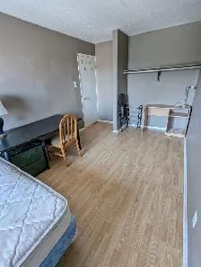 Move in today! Woodroffe/Majestic, 4 min to Algonquin - Photo 3