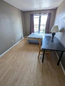 Move in today! Woodroffe/Majestic, 4 min to Algonquin - Photo 4