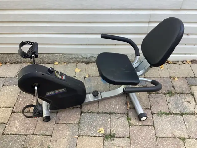 free spirit recumbent bike