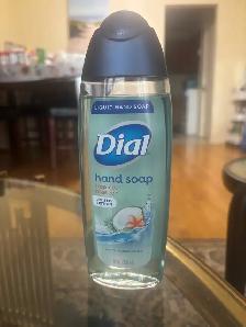 Dial Tropical Breeze and Lifebuoy Hand Soap