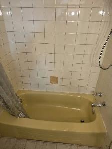 2 Bedroom Spacious Basement In Applewood @ Stoney & 17 Ave SE - Photo 3