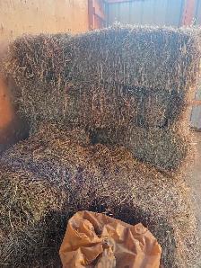 Horse Hay - Photo 2